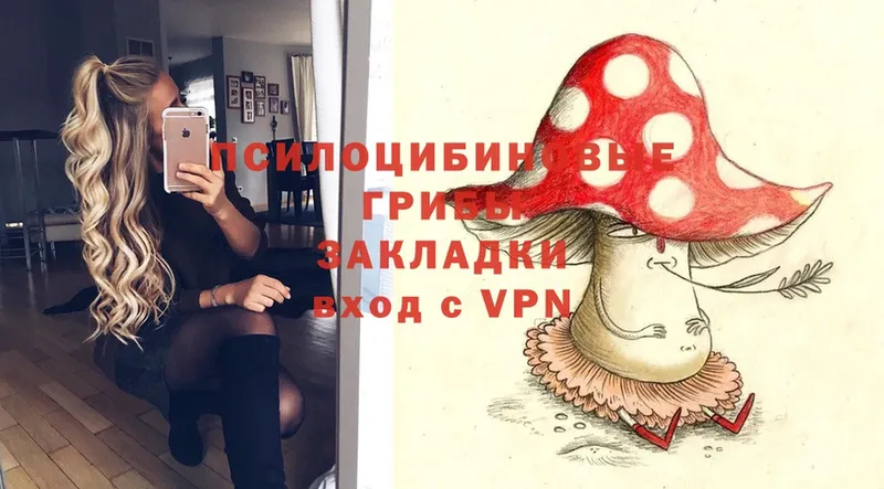 Галлюциногенные грибы Psilocybe  hydra как войти  Майский 